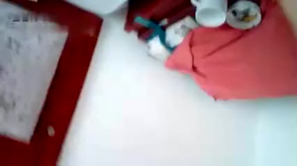 老张的泡妞之路